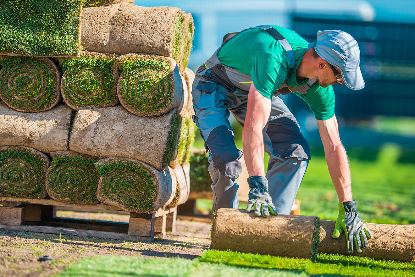 Landscaping Service
